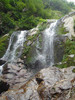 Co1050[image/jpeg:148kB]