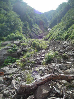 Co1200 ガレ[image/jpeg:150kB]