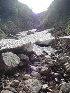 Co1300 雪渓[image/jpeg:150kB]