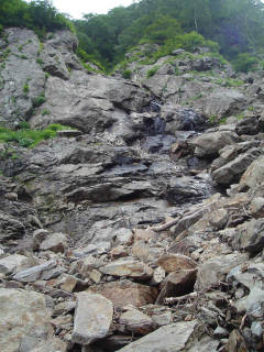 Co1400 三股[image/jpeg:150kB]