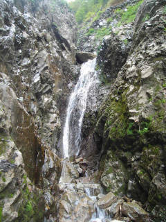 Co1520 直瀑[image/jpeg:152kB]