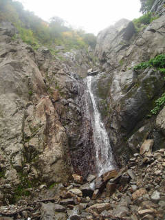 Co1560 直瀑[image/jpeg:149kB]