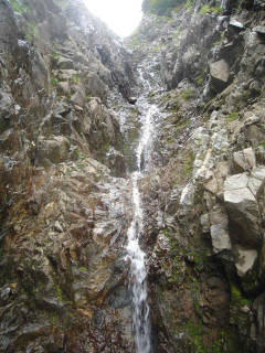 Co1680 小滝群[image/jpeg:148kB]