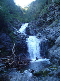 Co1100-1110 二段[image/jpeg:149kB]