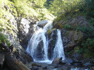 Co1160[image/jpeg:150kB]