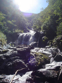 Co1180 滑滝開始[image/jpeg:151kB]