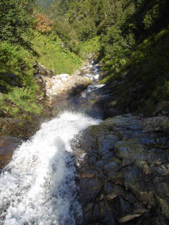 Co11280[image/jpeg:149kB]