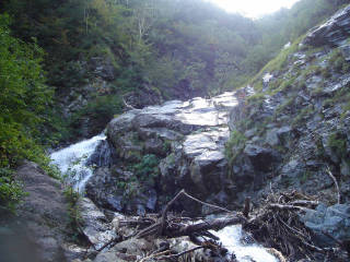 Co1030 二段下部[image/jpeg:149kB]