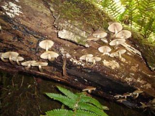 別々川[image/jpeg:149kB]