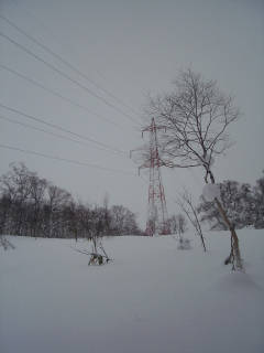 鉄塔[image/jpeg:149kB]