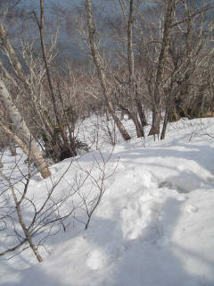 抜かる雪面[image/jpeg:149kB]