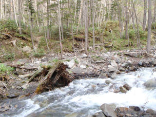 渡渉[image/jpeg:149kB]