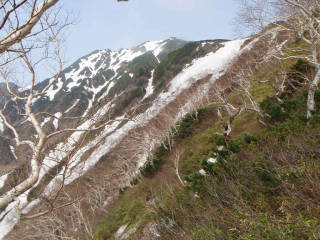 石狩岳[image/jpeg:149kB]