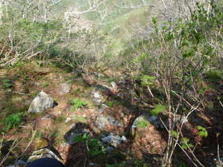 北西面源頭[image/jpeg:374kB]