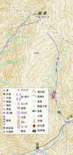 二岐岳南東面沢[image/jpeg:288kB]