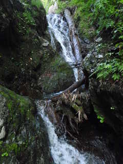 Co910[image/jpeg:270kB]