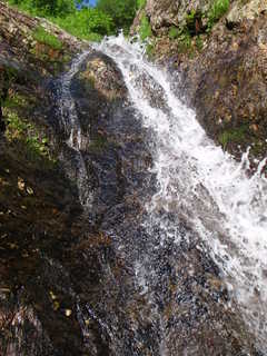 Co1030[image/jpeg:392kB]
