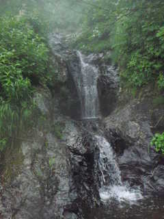 Co930[image/jpeg:261kB]