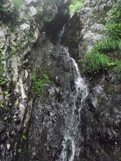 Co1100 樋滝[image/jpeg:325kB]