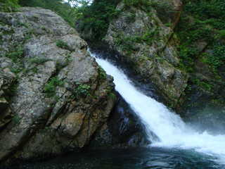 Co640[image/jpeg:239kB]