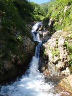 Co870[image/jpeg:275kB]