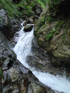 Co630[image/jpeg:250kB]