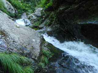 Co660 樋滝[image/jpeg:235kB]