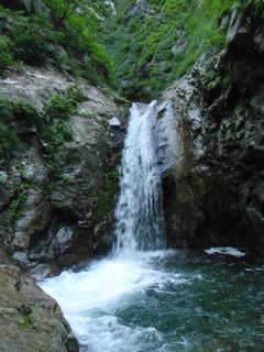 Co675[image/jpeg:248kB]