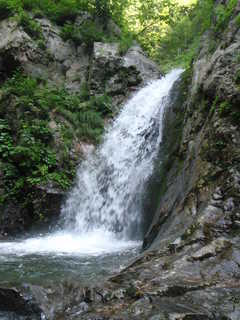 Co685[image/jpeg:267kB]