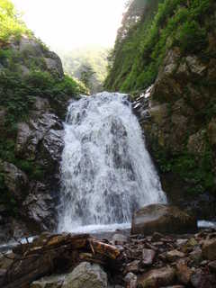 Co745[image/jpeg:230kB]