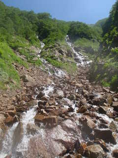 Co1000[image/jpeg:310kB]