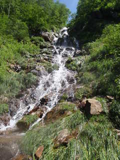 Co1020[image/jpeg:401kB]