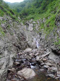 Co730[image/jpeg:298kB]