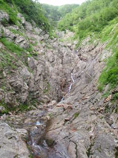 Co1120[image/jpeg:332kB]