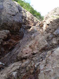 Co1200[image/jpeg:292kB]