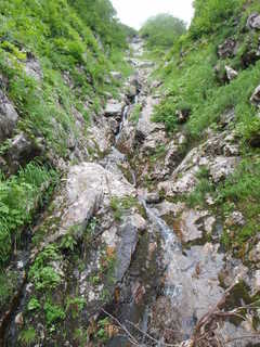 Co1400[image/jpeg:357kB]