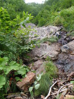 Co1250[image/jpeg:318kB]
