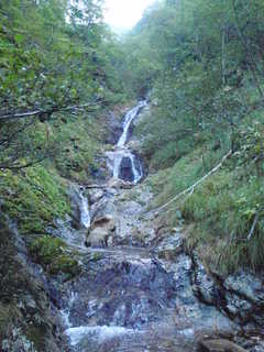 Co790[image/jpeg:333kB]