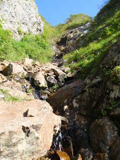 Co1450[image/jpeg:323kB]