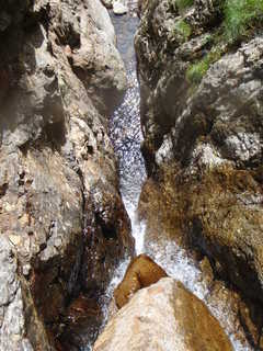 Co1120[image/jpeg:353kB]