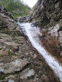 Co990[image/jpeg:292kB]