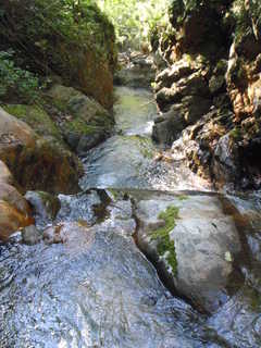 Co450[image/jpeg:306kB]