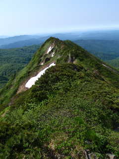 夕張岳の頂稜[image/jpeg:270kB]