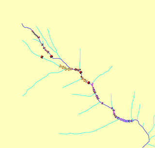 札内岳南東面直登沢遡行図[image/jpeg:40kB]