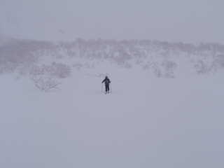 雪原[image/jpeg:43kB]