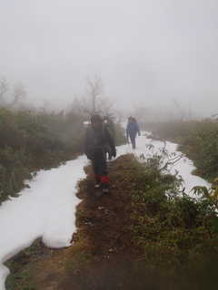 第二公園付近[image/jpeg:118kB]