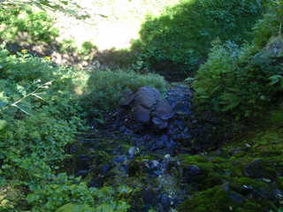 枝沢の滝[image/jpeg:268kB]