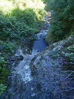 枝沢の滝 2[image/jpeg:336kB]