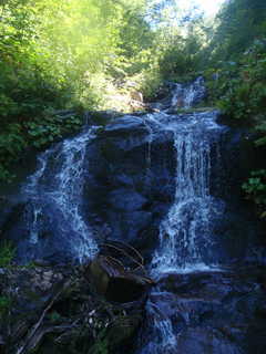 Co1200[image/jpeg:273kB]