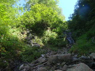 Co1320[image/jpeg:319kB]